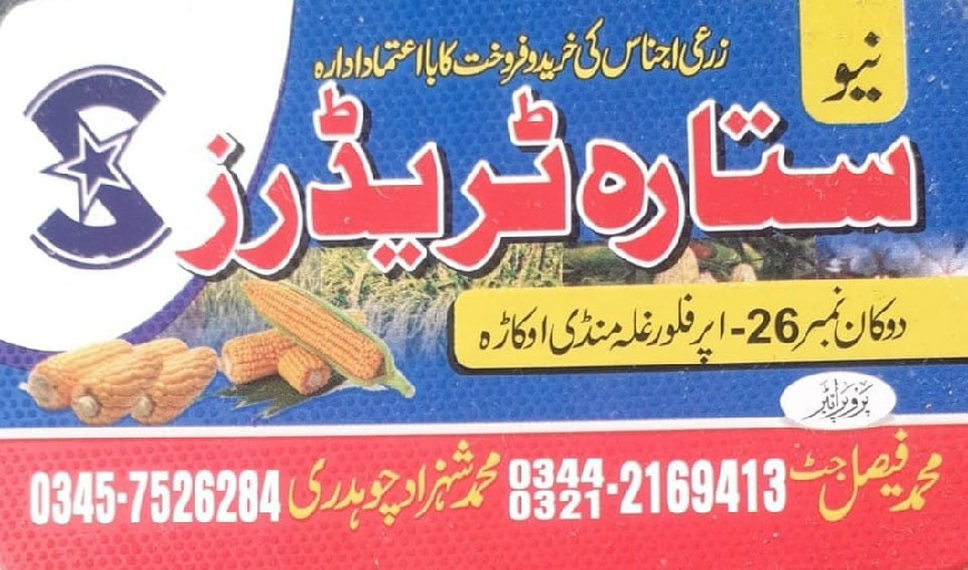 NEW SITARA Commission Shop