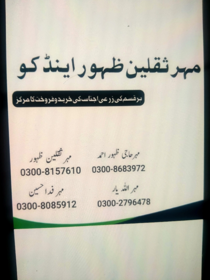 مہر ثقلین ظہور اینڈ کو کہروڈپکا